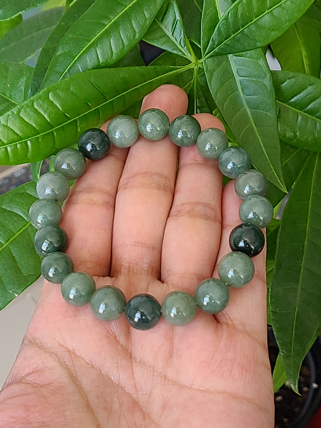 Vòng Cẩm Thạch Dầu (Oil Jade) VIP, 10MM